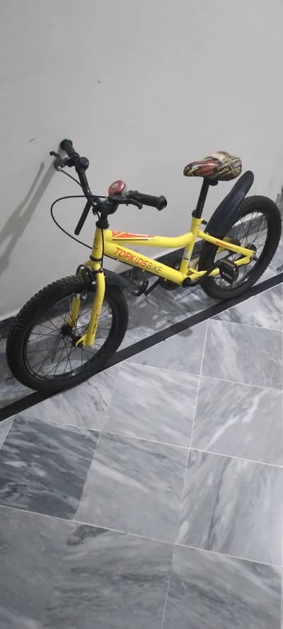Top Kids Mountain Bike – 20-Inch Fat Tire