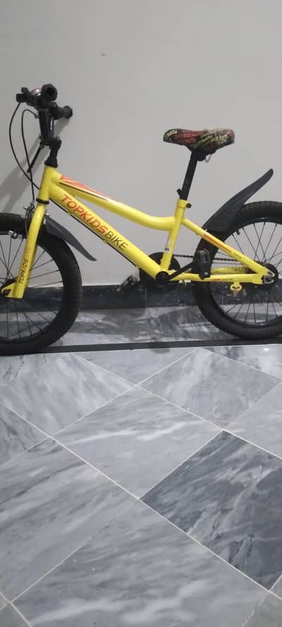 Top Kids Mountain Bike – 20-Inch Fat Tire