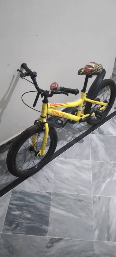 Top Kids Mountain Bike – 20-Inch Fat Tire