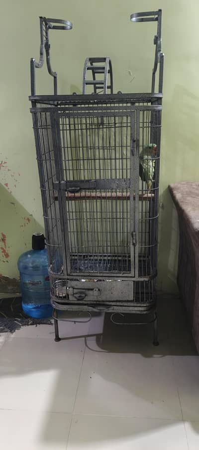 cage for sale
