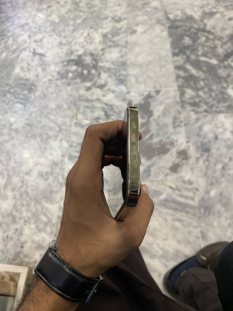 Apple iPhone 12 Pro Max 1