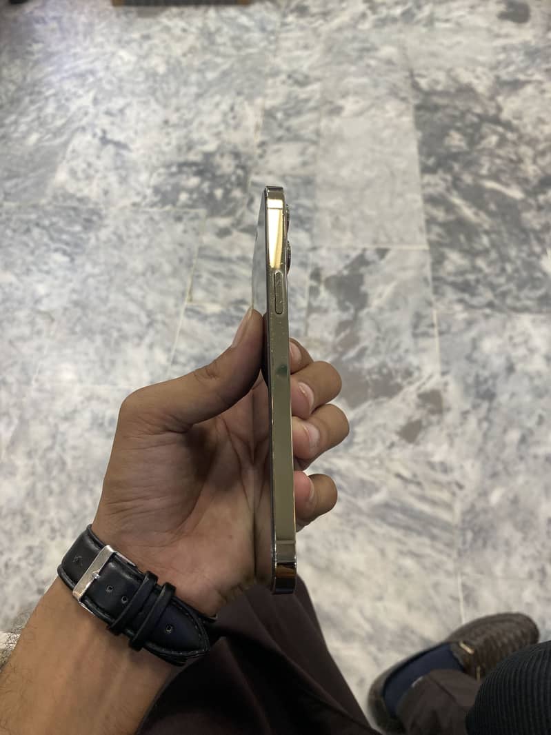 Apple iPhone 12 Pro Max 2