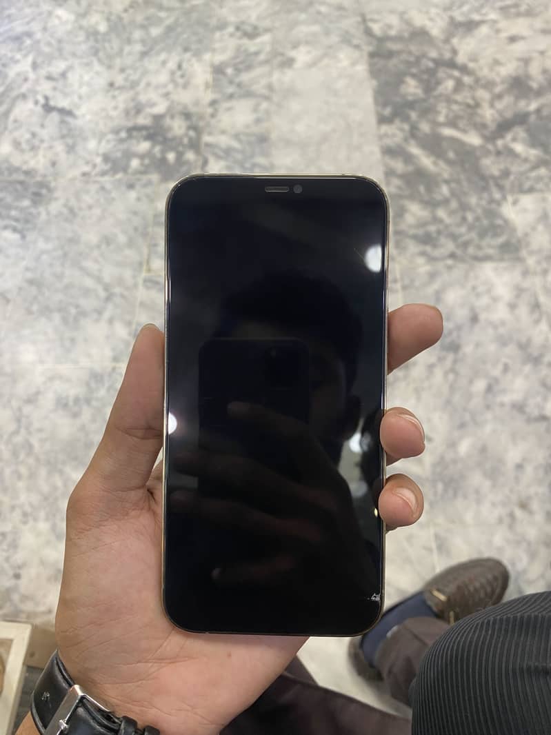 Apple iPhone 12 Pro Max 5