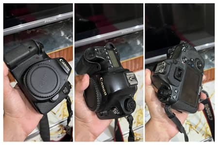 Canon 6D
