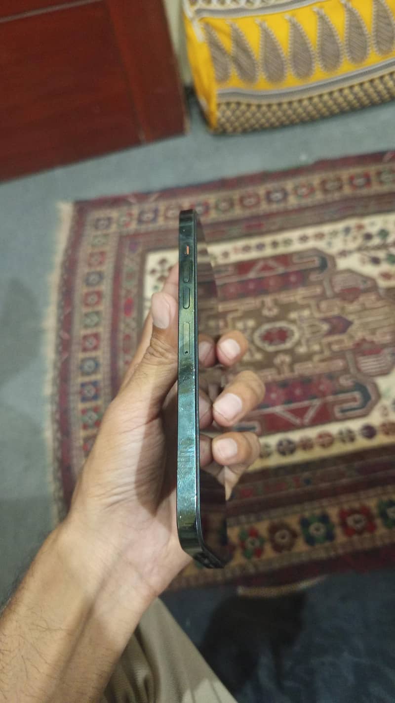 Apple iPhone 13 Pro Max 2