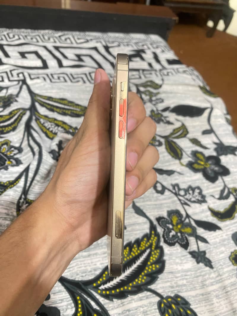 Apple iPhone 12 Pro 1