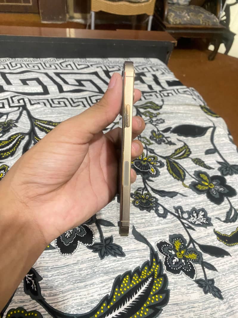Apple iPhone 12 Pro 2