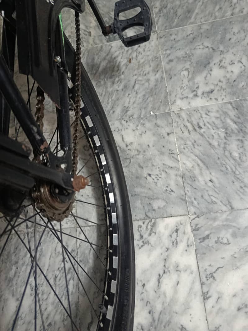 fat tyre cycle 4