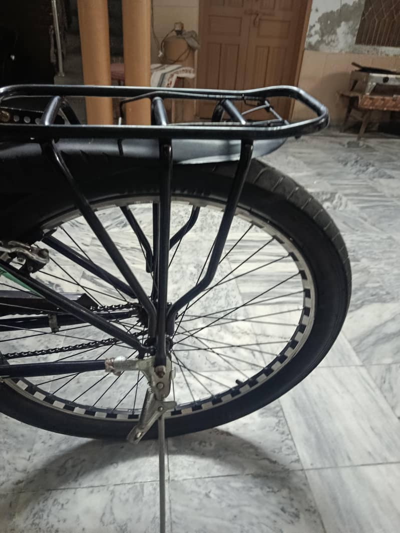 fat tyre cycle 5