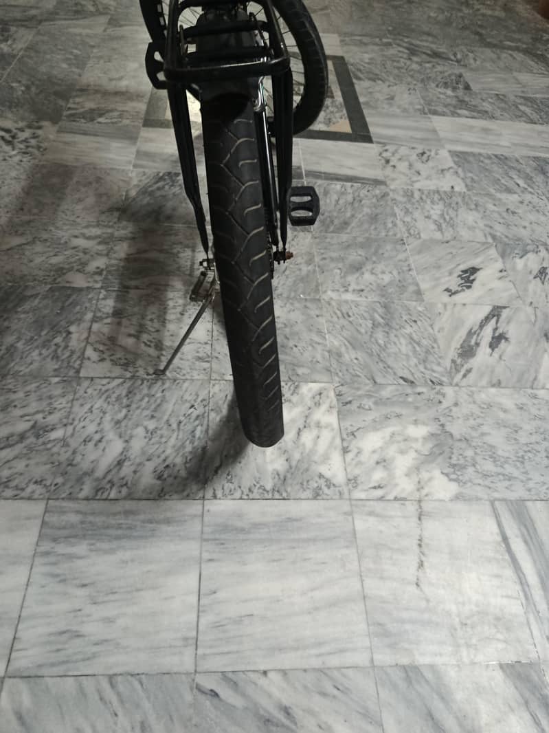 fat tyre cycle 11