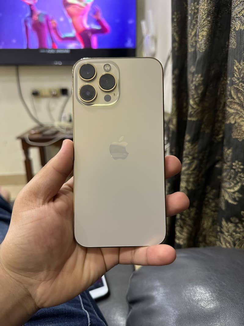 Apple iPhone 13 Pro Max 1