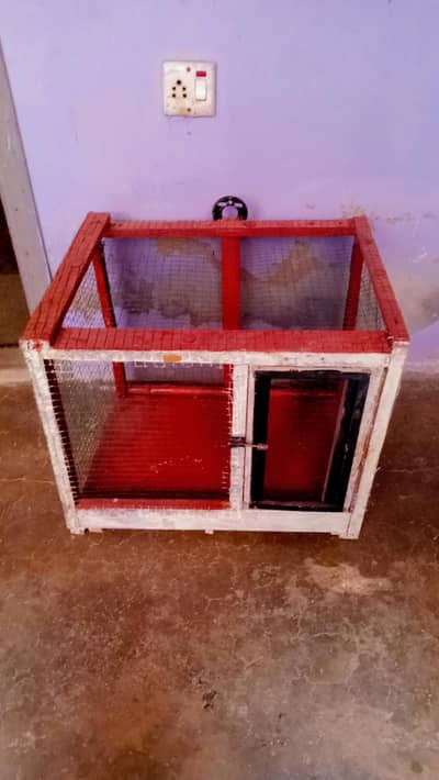 Wooden Bird Cage for Sale – Strong & Beautiful Design