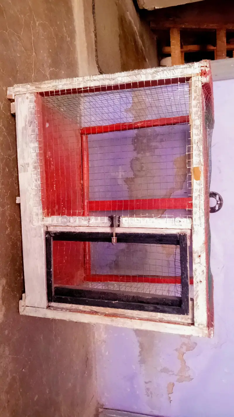 Wooden Bird Cage for Sale – Strong & Beautiful Design — photo 2