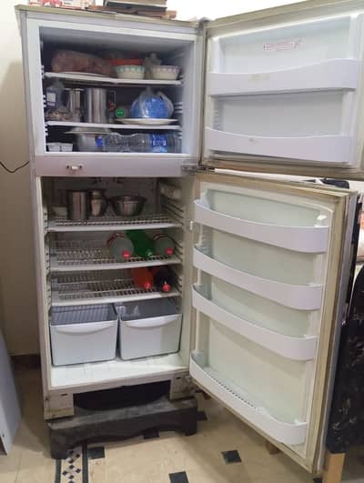 Pel Refrigarator
