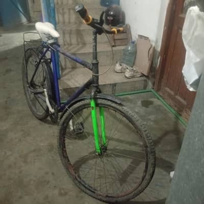 Bicycle Phonex