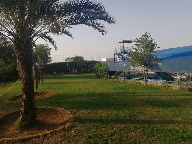 Ft Resort unit A 6