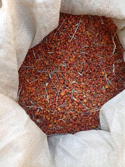 ​100% Sun Dried Wild Sea Buckthorn & Hawthorn (Khaplu, GB)