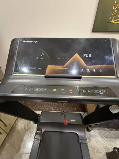 Milleiur treadmill