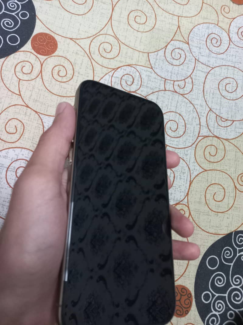 Apple iPhone 16 Pro Max 3