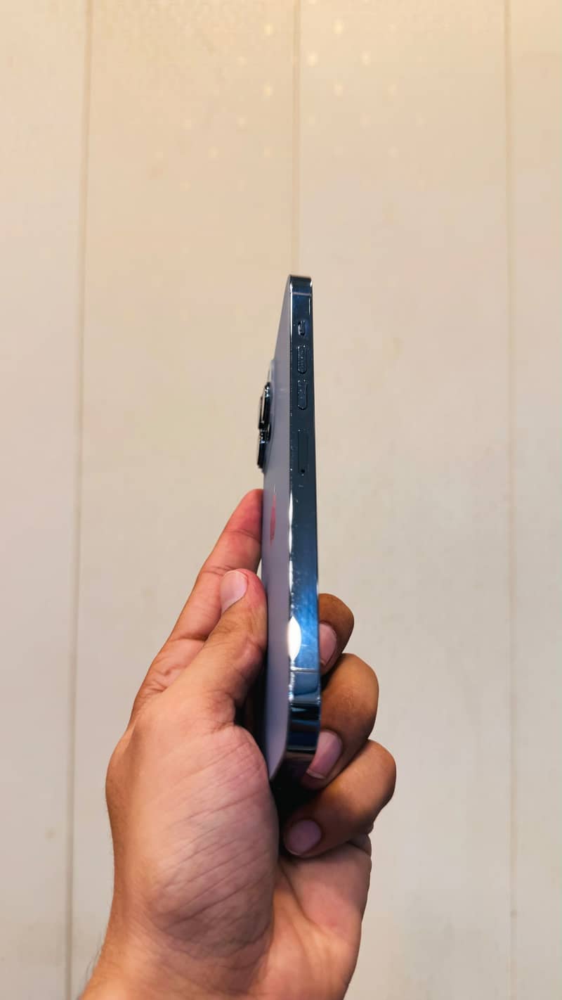 Apple iPhone 13 Pro Max 1