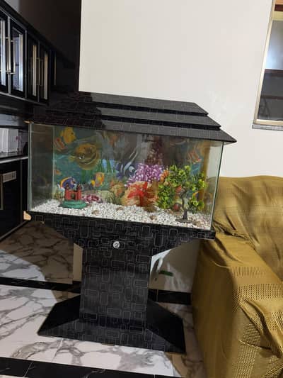 New Fish Aquarium for sale