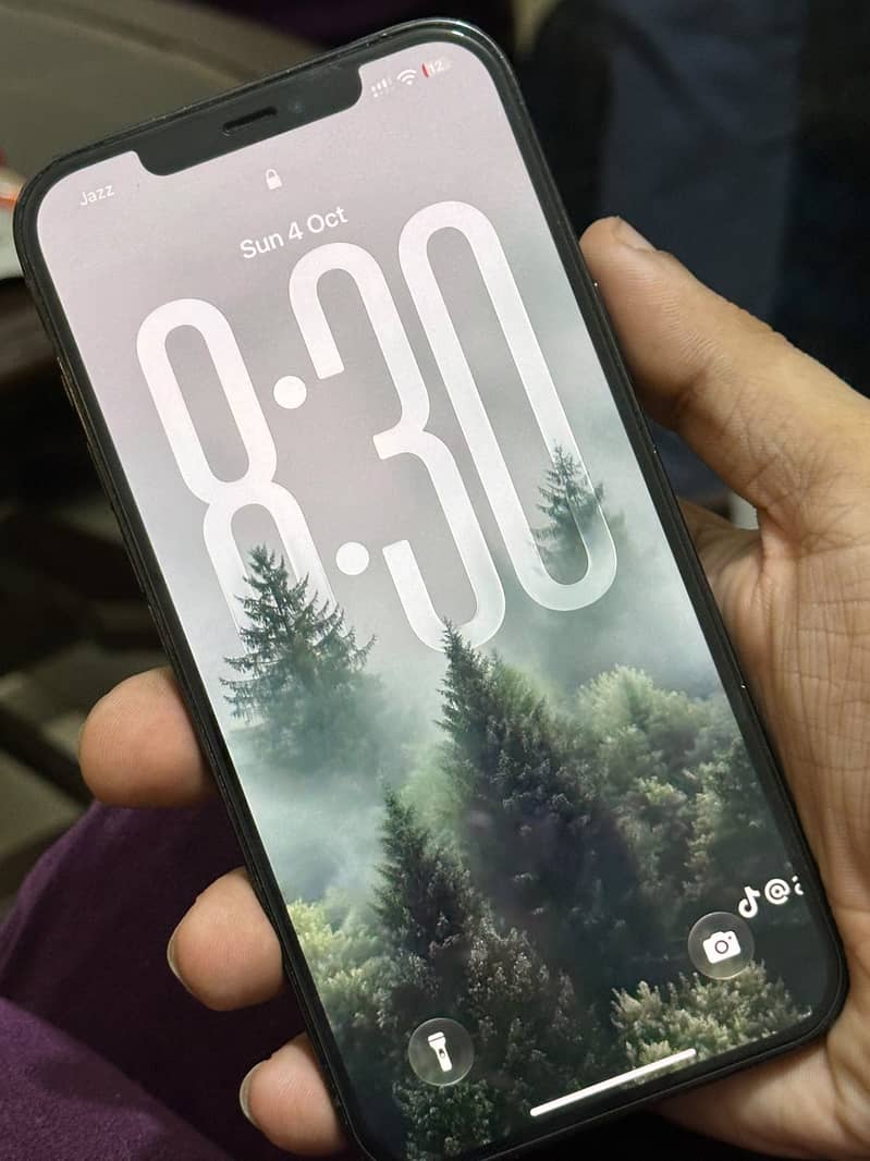 Apple iPhone 12 Pro Max 0