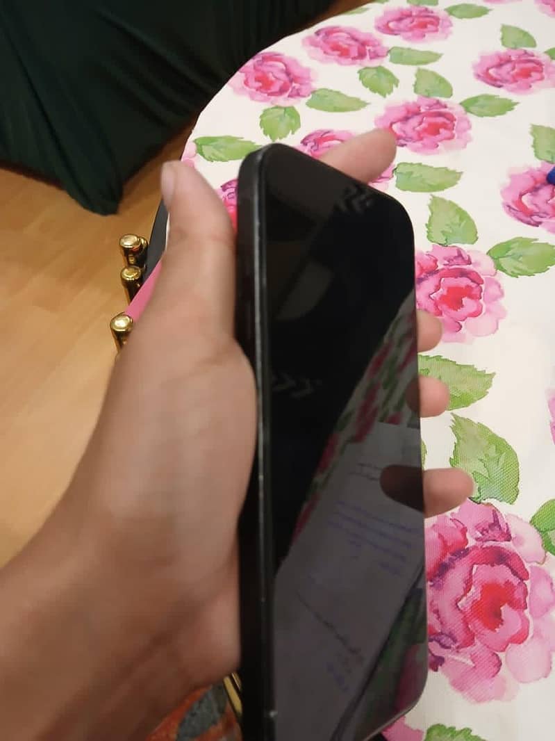 Apple iPhone 16 Pro Max 1