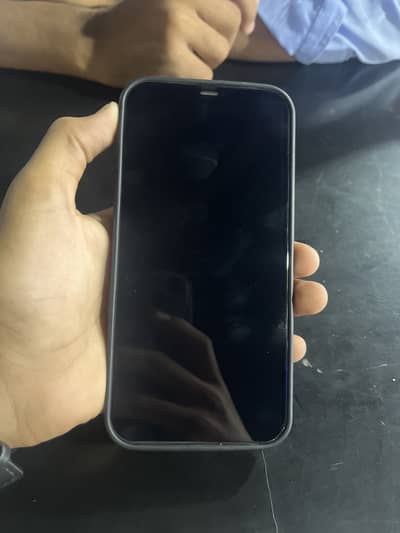 Apple iPhone 12 Pro Max