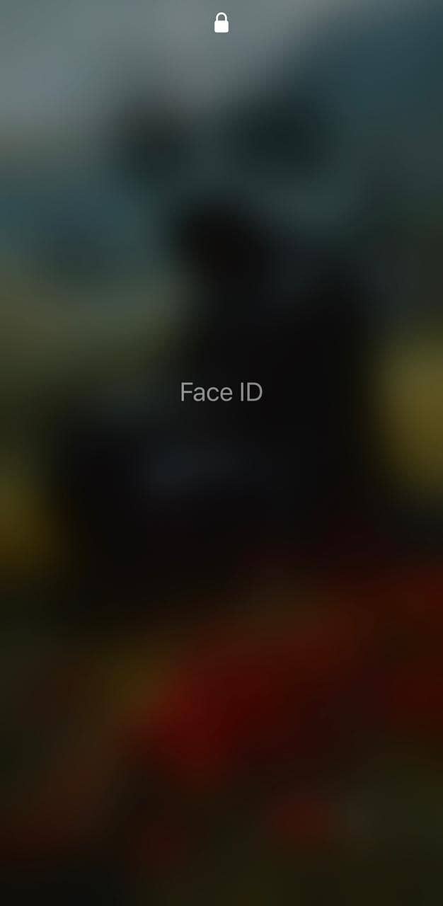 Apple iPhone X 6