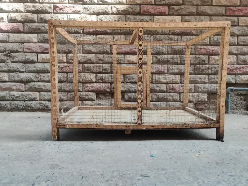 Cage (pinjra) — photo 3