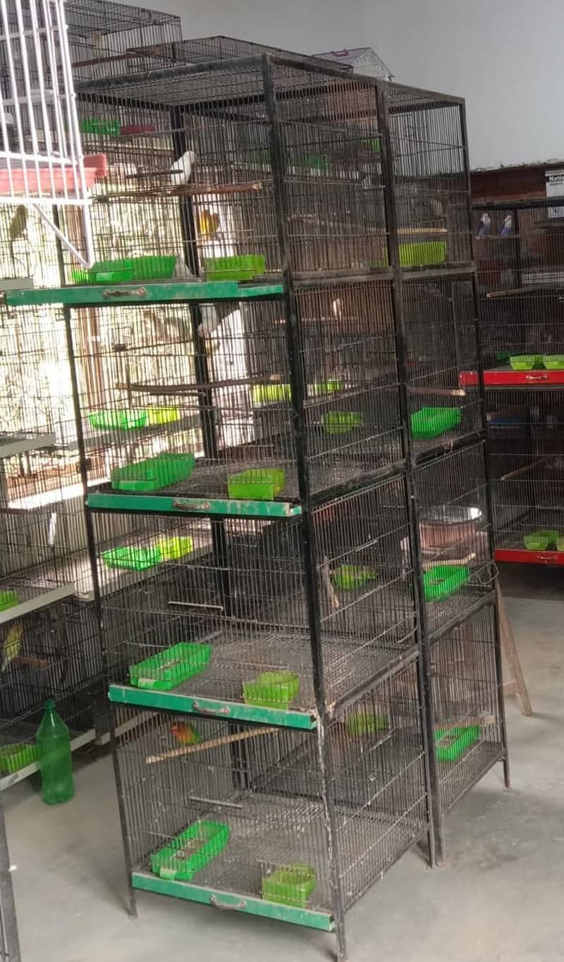 birds cage 0