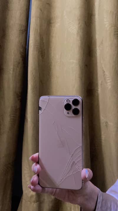 Apple iPhone 11 pro max