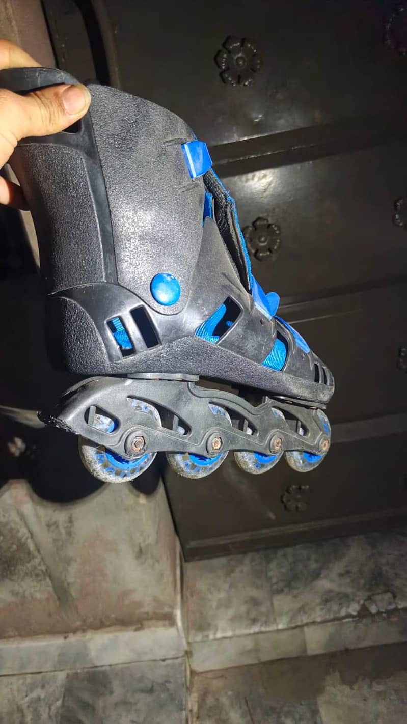 skating shoes 2