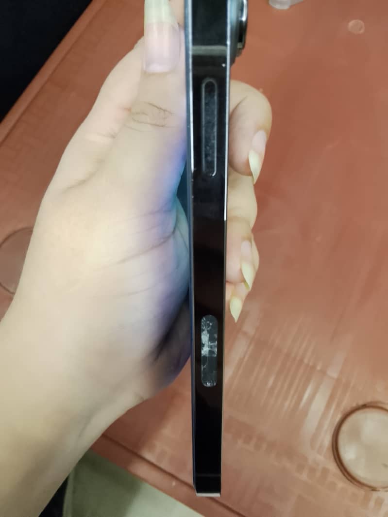 Apple iPhone 13 Pro Max 3