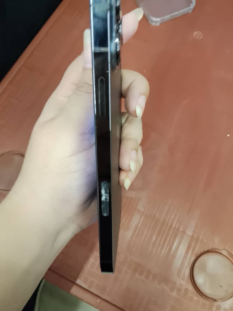 Apple iPhone 13 Pro Max 5