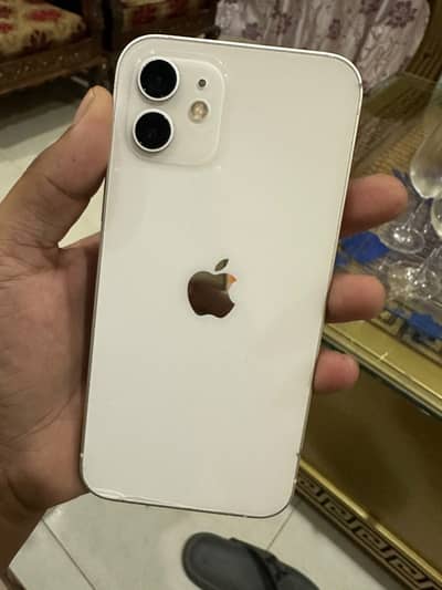 Apple iPhone 12