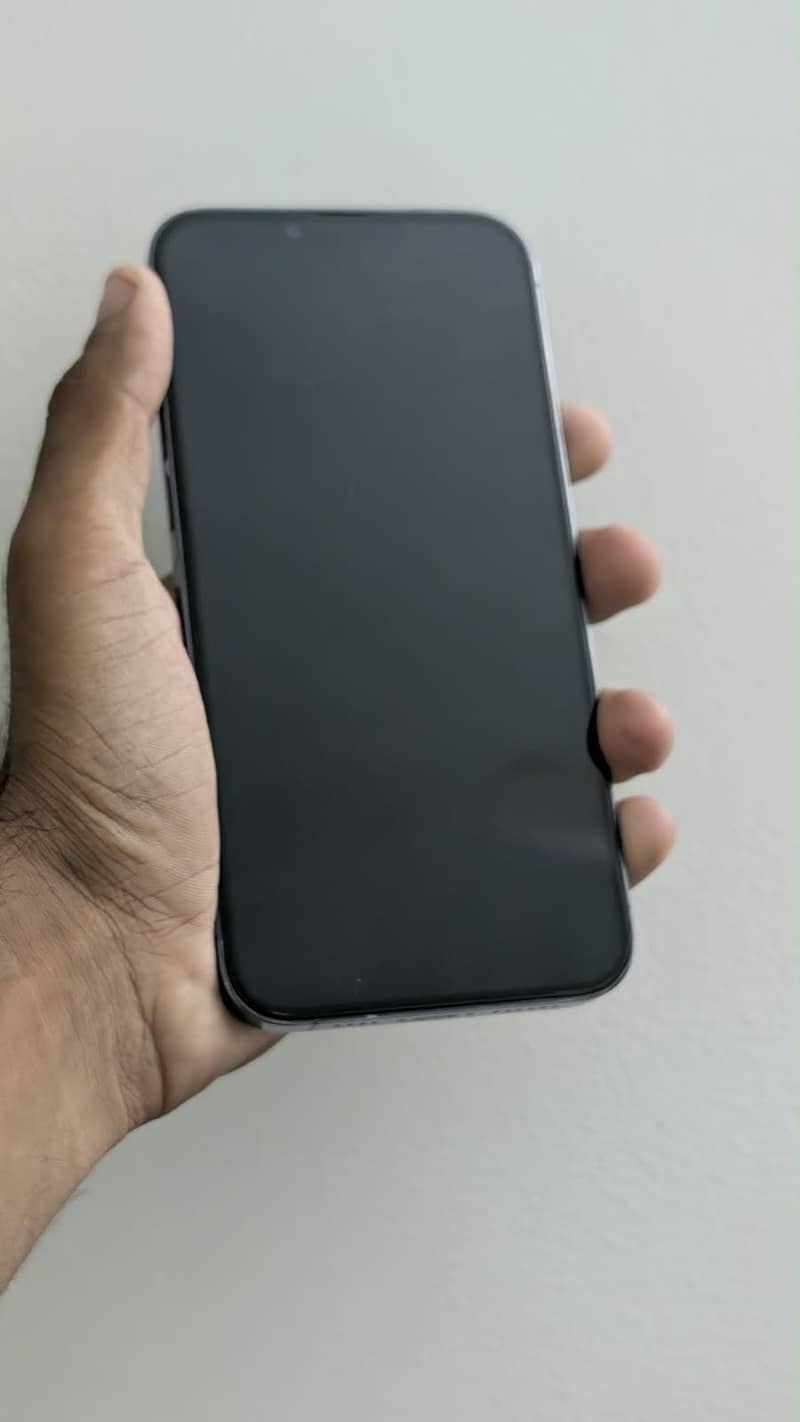 iPhone 13 Pro Max 1