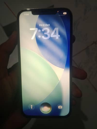 Apple iPhone 12 Pro Max