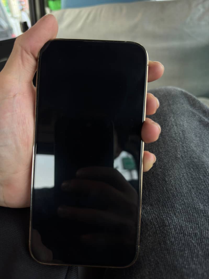 Apple iPhone 13 Pro Max 1
