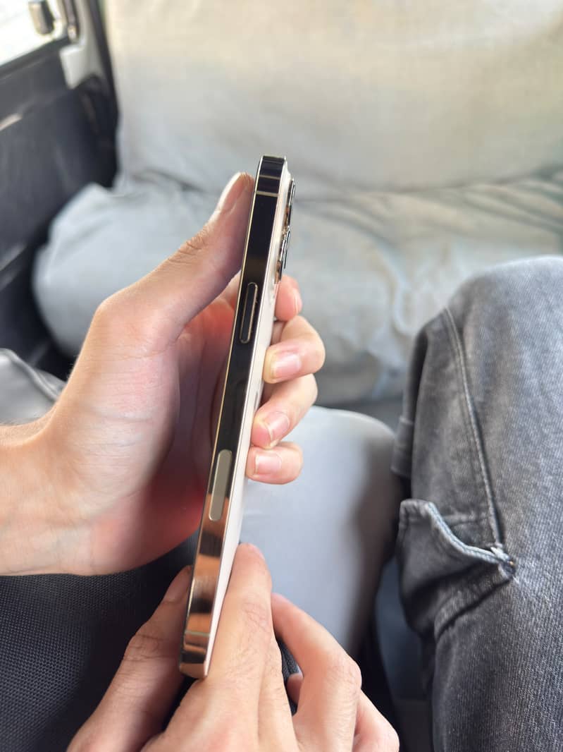 Apple iPhone 13 Pro Max 2