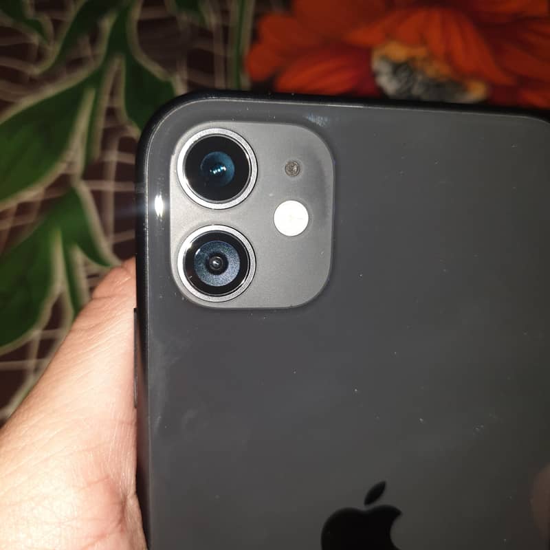 Apple iPhone 11 0