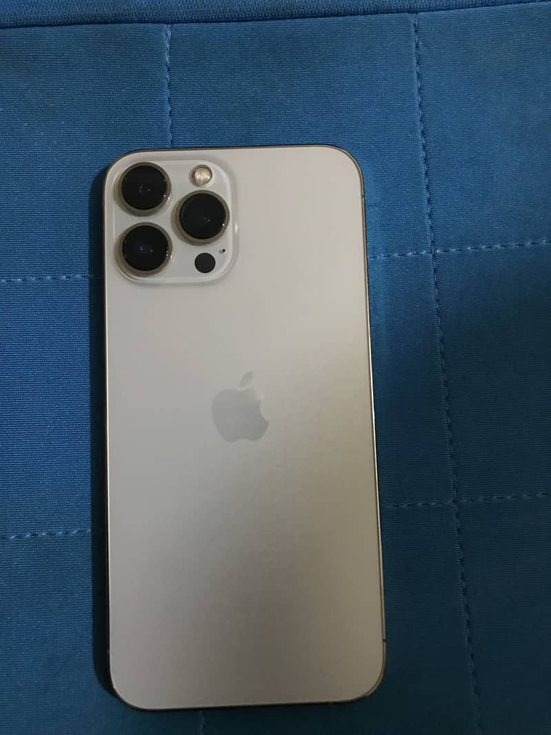 Apple iPhone 13 Pro Max 1