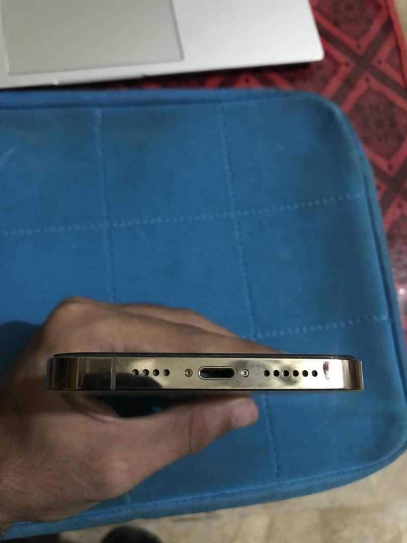 Apple iPhone 13 Pro Max 2