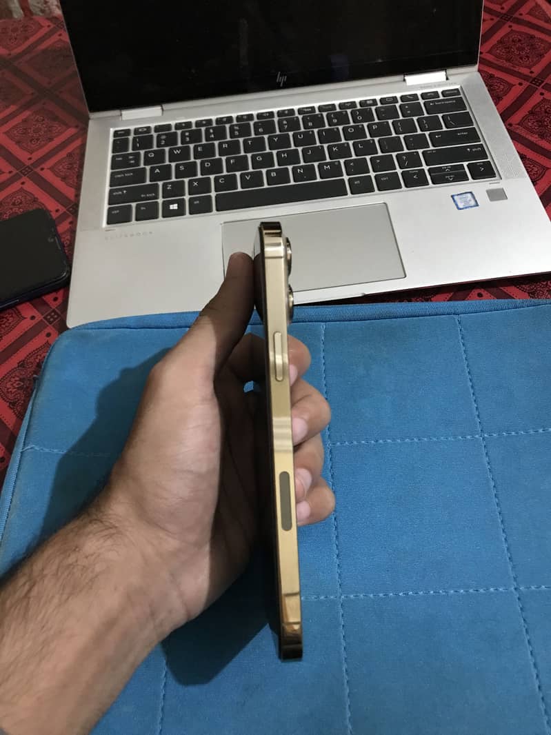 Apple iPhone 13 Pro Max 3