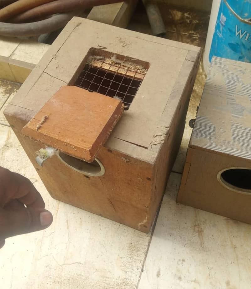 BIRD BOXES 1