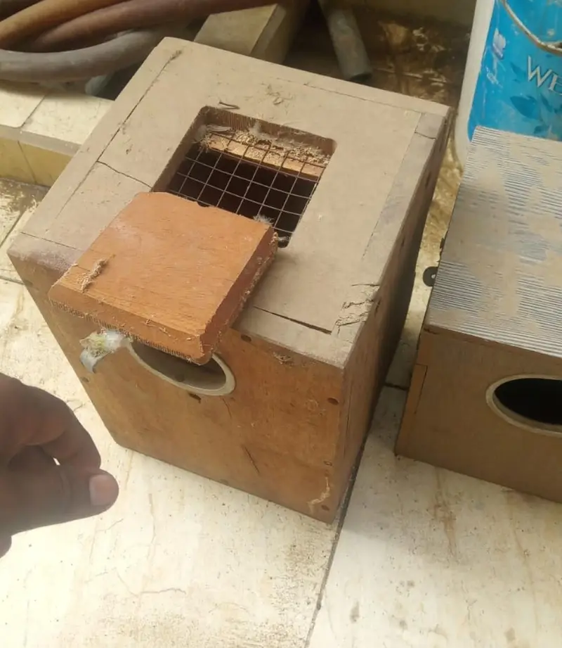 BIRD BOXES — photo 2