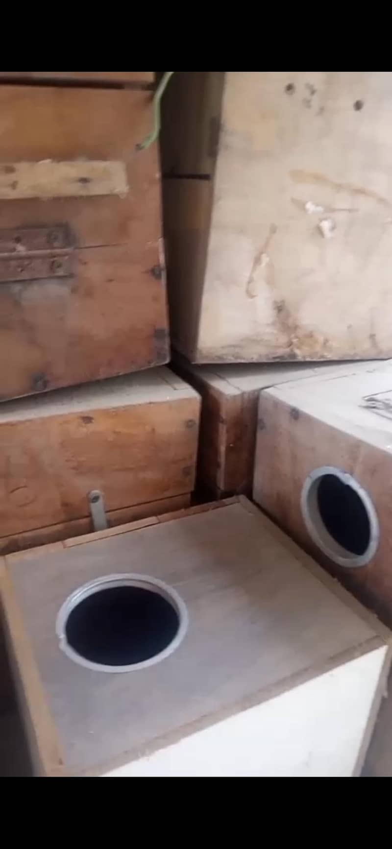 BIRD BOXES 3