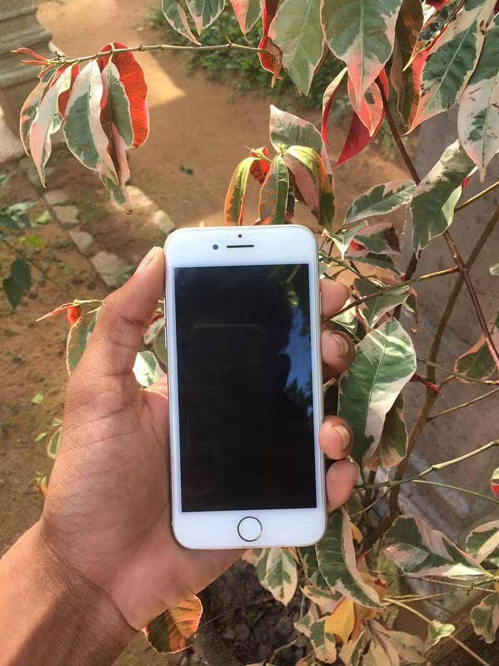Apple iPhone 7 2