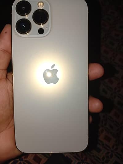 Apple iPhone 13 Pro Max