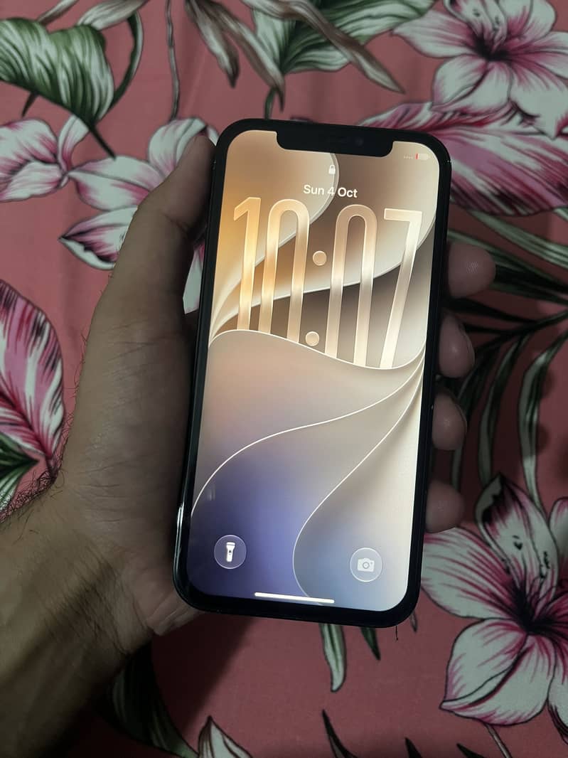 Apple iPhone 12 Pro 0